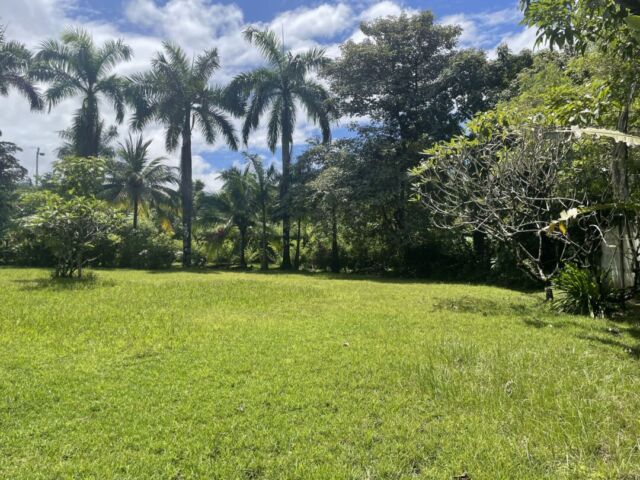 Walk to the beach lot in Pavones.